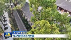 那块没端上桌的桂花糕…