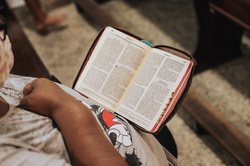 大卫与巨人的枕头之战·一个睡梦乡的圣经故事