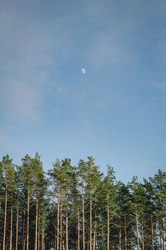 瑞典月球异常档案：那些被刻意掩盖的真相