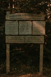 罗布泊无名墓碑丨透明人背后的神秘与等待