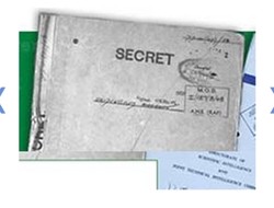 开曼群岛罗斯威尔事件报告！