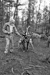 安第斯双头犬｜科学与神秘的交织