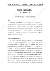 加勒比海英国公开报告·阳光下的阴影，真相藏在细节里