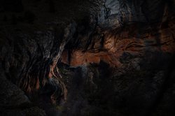 洞穴中的神秘生物—火蜥蜴的传说与科学真相