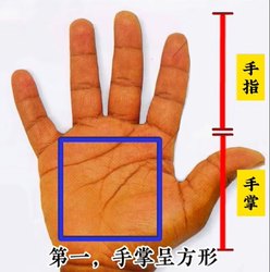 影子人眼形纹·自然与人工的完美结合