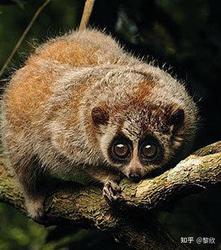 那些低频嗡鸣的脚印，岁月的残影？