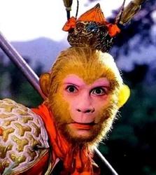 雾峰村的“老马猴”｜那晚我看见了不该看的东西