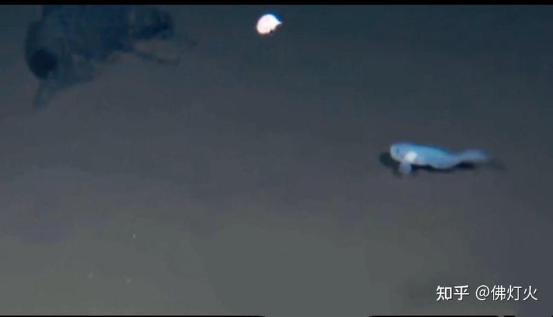 探秘马里亚纳海沟—雷暴球与木偶立像的神秘邂逅 探秘马里亚纳海沟—雷暴球与木偶立像的神秘邂逅