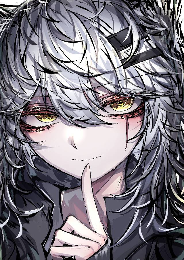 拉普兰光圈事件｜北极光的浪漫与神秘