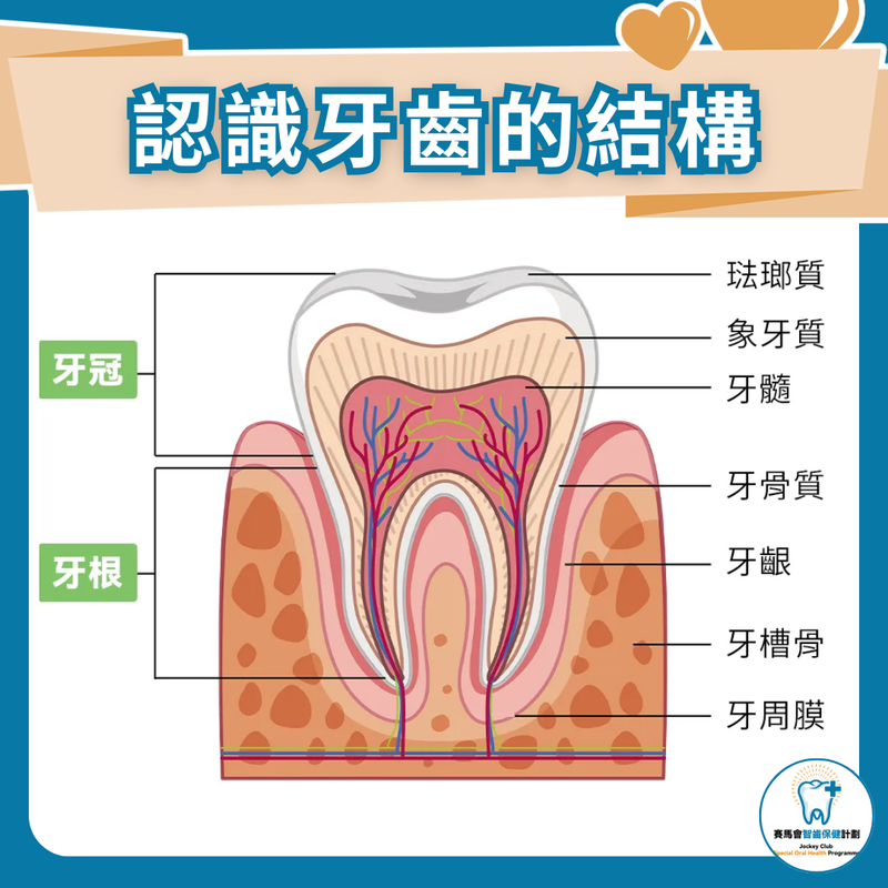 那些刻在石头上的“发光牙齿”·一场关于记忆与光的奇妙旅行 那些刻在石头上的“发光牙齿”·一场关于记忆与光的奇妙旅行