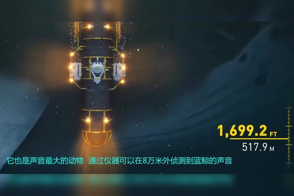 沉没的文明密码·马里亚纳海沟骨制面具的神秘启示