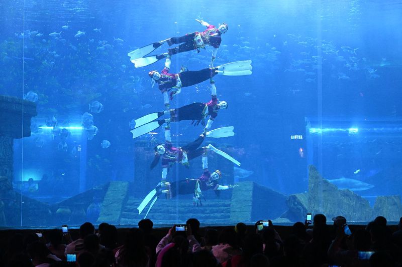 古城人鱼传说｜儒艮的“祝福”与海洋的神秘面纱