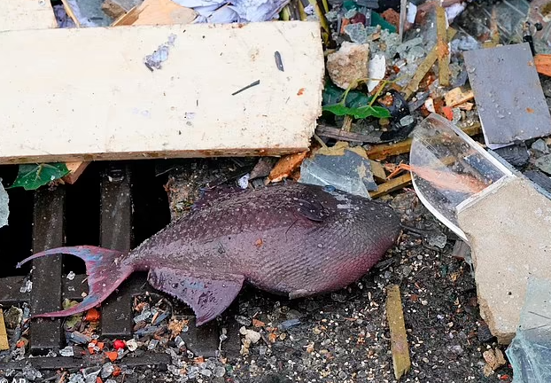 废弃机场惊现神秘海怪，无刻度时钟见证奇观？