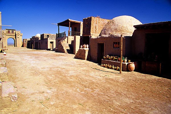 罗布泊的风里，藏着一条没游回大海的鱼？