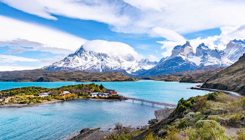 南美冰川树精丨巴塔哥尼亚的神秘香料与极寒生存术