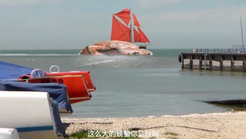 海洋中的神秘陨石坑｜海怪目击蛇形纹的真相