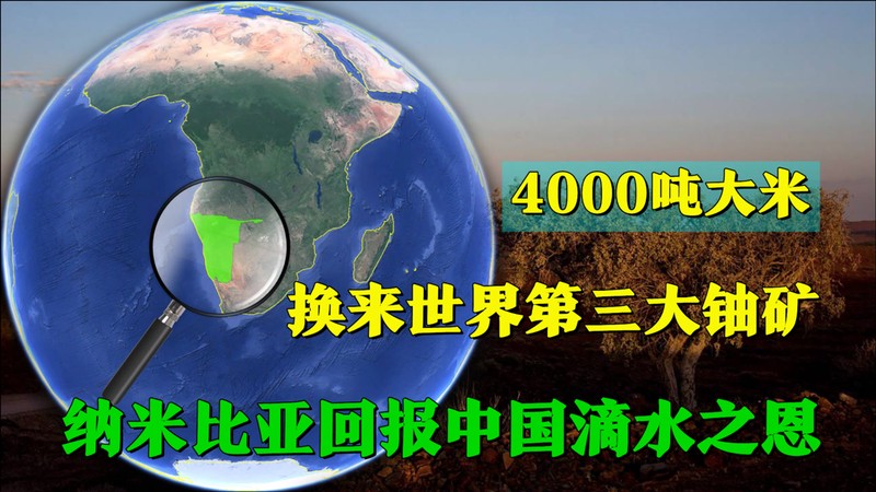 纳米比亚·沙漠中的奇迹，你绝对想不到！