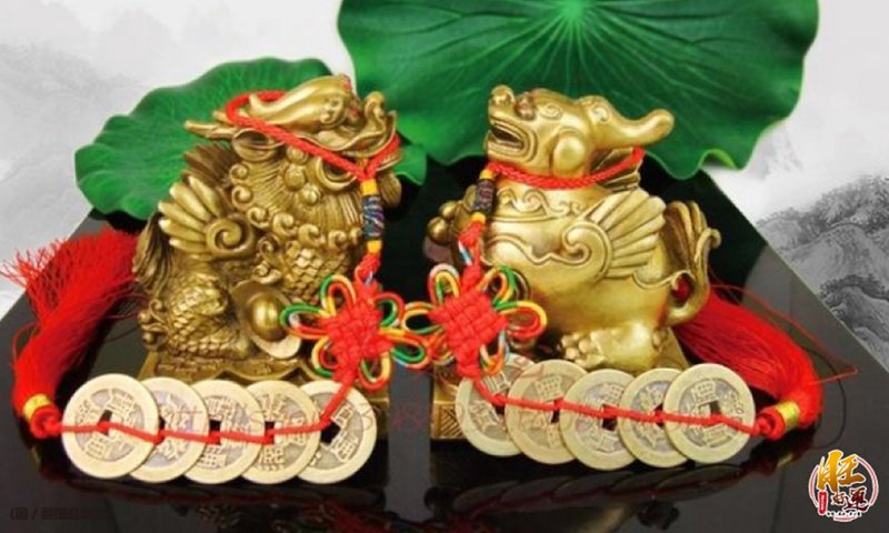 貔貅航路·探索自然界中的神秘导航者