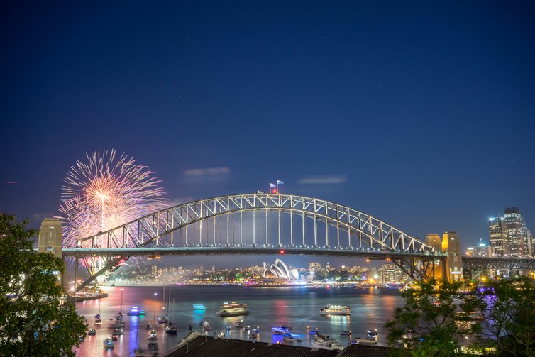 大洋洲烛龙夜行｜揭秘神秘生物的夜间奇观
