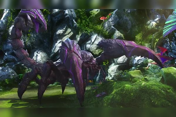 雨林中的“蛟龙”·毒液蛇鱼的生存之道 雨林中的“蛟龙”·毒液蛇鱼的生存之道