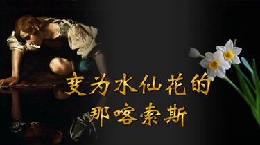 那个爱上自己倒影的少年：希腊神话里的水仙花传说
