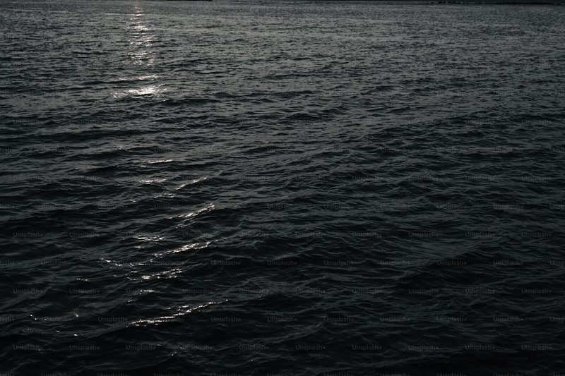 一个人的江湖 一个人的江湖