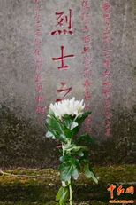 红雾无名墓碑丨一段不为人知的悲伤旅程