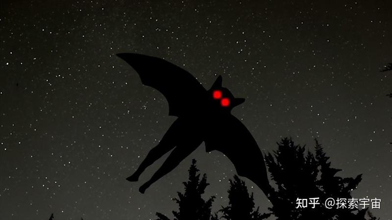 那个诡异的合恩角天蛾人,我亲眼所见! 那个诡异的合恩角天蛾人,我亲眼所见!