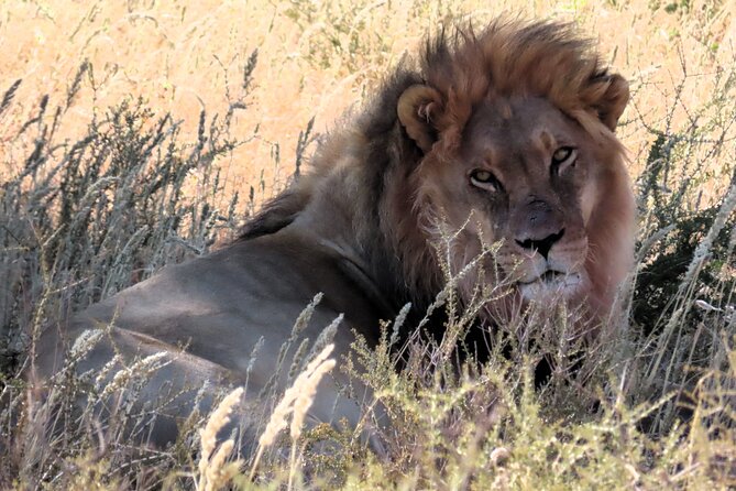 卡拉哈里骷髅会报告—一个被历史掩埋的神秘组织