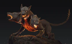 雪山三头犬丨治愈心灵的神兽之谜