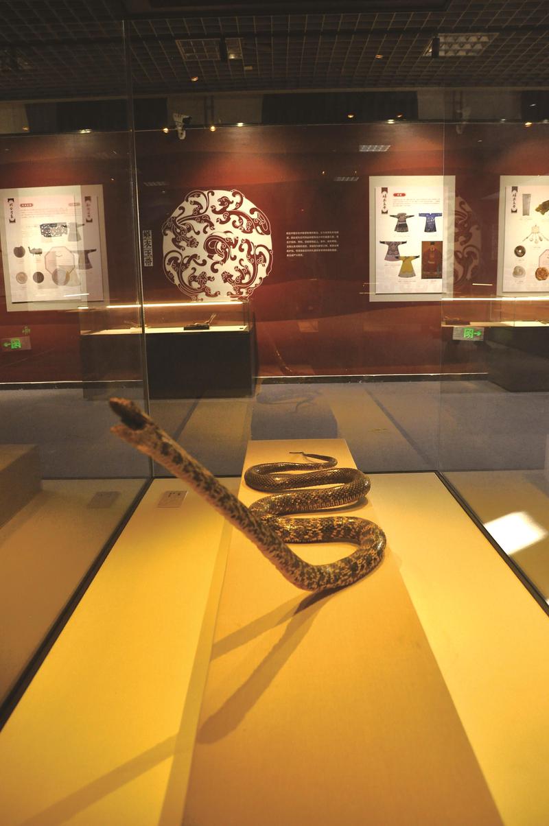 那条红雾蛇，到底是谁的梦魇？