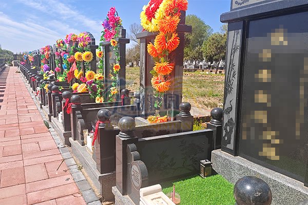 北美黑龙守墓·神秘的传说与文化意义 北美黑龙守墓·神秘的传说与文化意义