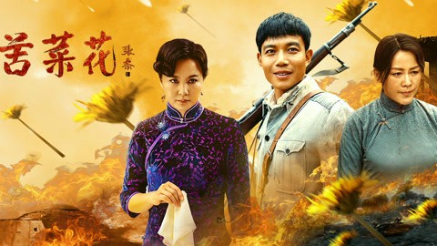 叶青与赵芬的夏日约定！