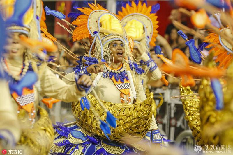 巴西龙族丨神秘的守护者与文化象征 巴西龙族丨神秘的守护者与文化象征