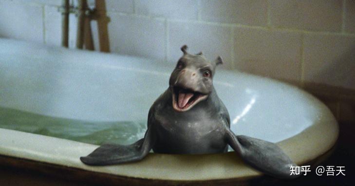 深海之谜·科考站的海怪与水下钟