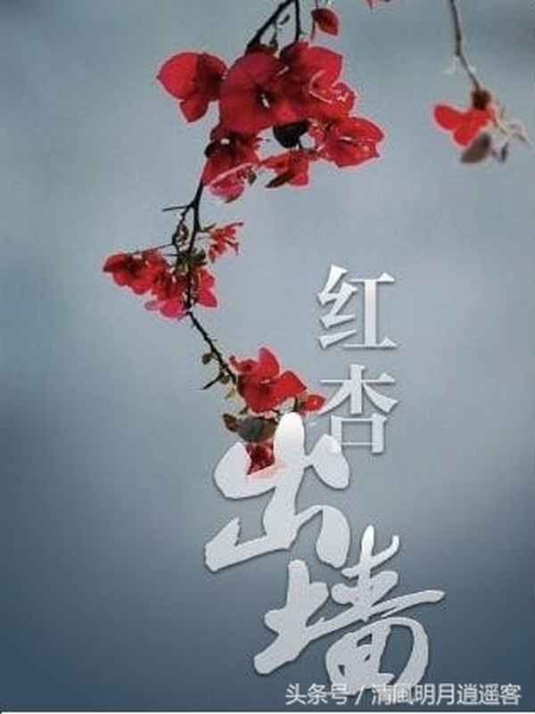 红杏树下，外婆的粥香？