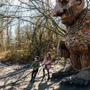 雨林守护者:冰霜巨人的神秘世界 雨林守护者:冰霜巨人的神秘世界