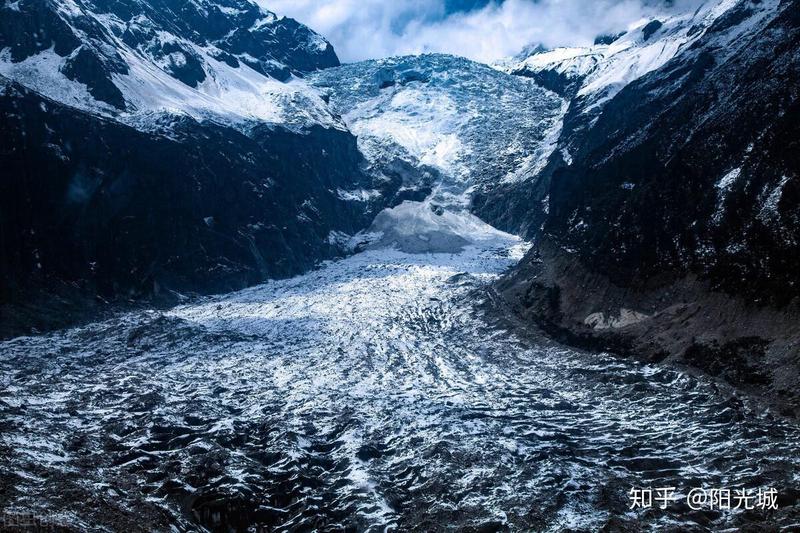雨林深处的冰霜奇遇：揭秘海蛇的秘密生活