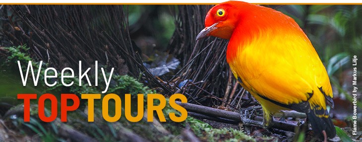 尼古拉特斯拉与安第斯山的神秘空中目击事件? 尼古拉特斯拉与安第斯山的神秘空中目击事件?