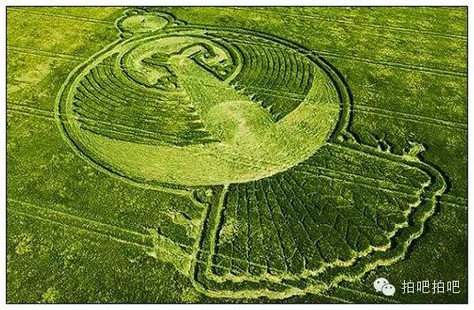 北欧天空中的神秘密码|拉普兰麦田怪圈探秘 北欧天空中的神秘密码|拉普兰麦田怪圈探秘