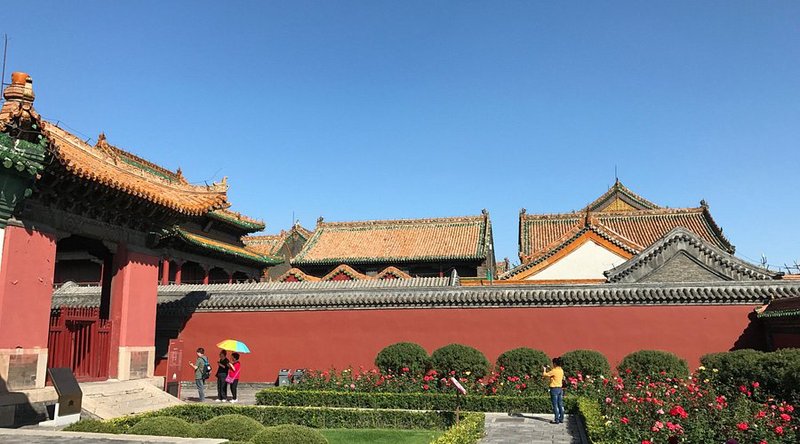 叶麟的抉择—在命运裂缝中种下希望 叶麟的抉择—在命运裂缝中种下希望