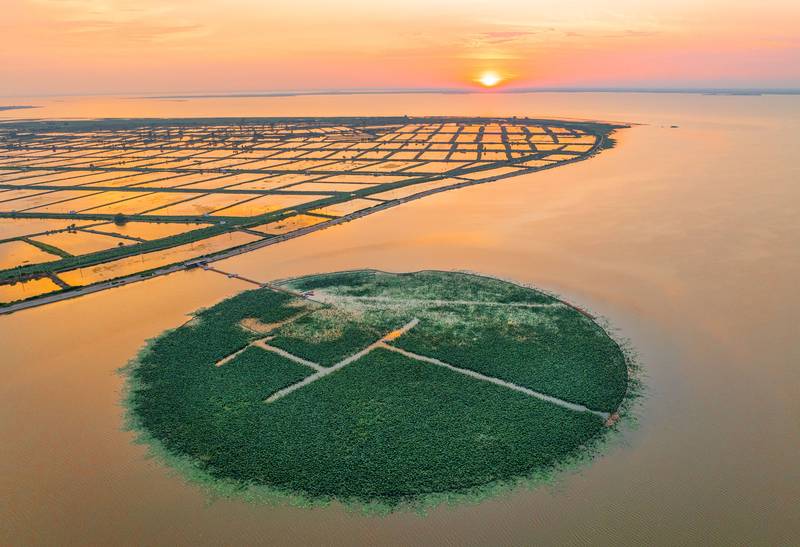 古墙上的低语与秘密！