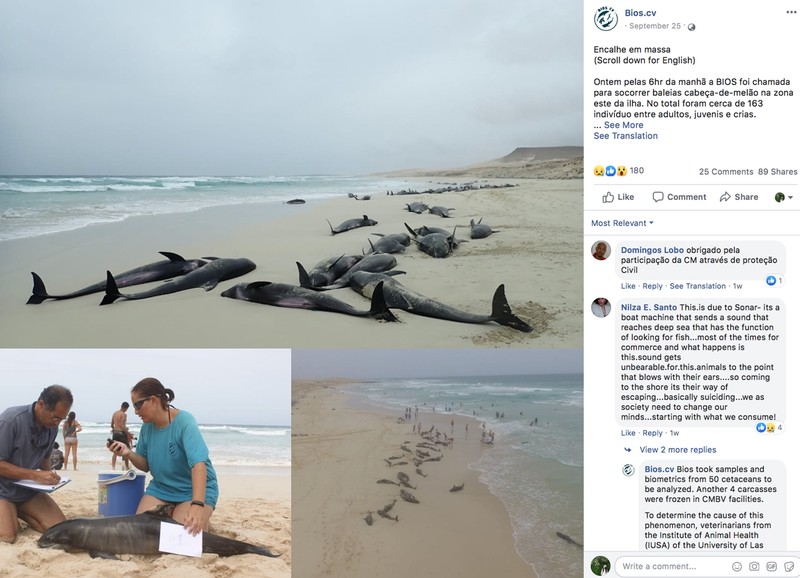 当鲸鱼的歌声在废弃矿井里回荡丨那些令人心碎的碎片