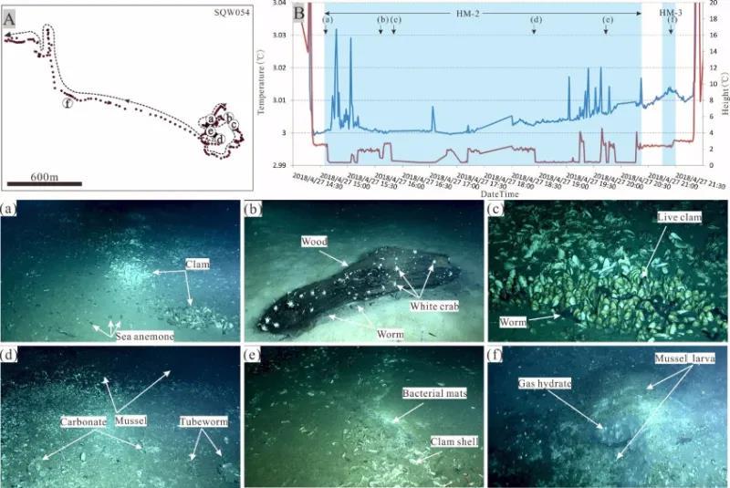 海底传来巨响，我差点以为是地震！