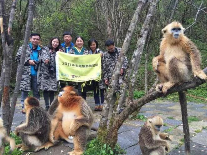 深山迷雾里的海妖丨为什么你会梦见神农架的神秘生物? 深山迷雾里的海妖丨为什么你会梦见神农架的神秘生物?