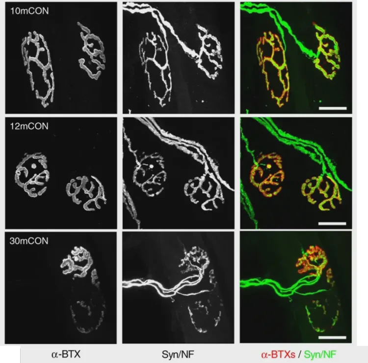 穿越时空的旧磁带·揭秘磁异常带引发的时空紊乱之谜 穿越时空的旧磁带·揭秘磁异常带引发的时空紊乱之谜