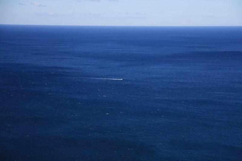 我亲眼看见大西洋在夜里发出了光？