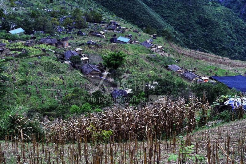 悬崖村的圆盘总在深夜鸣响，我终于听懂了它的声音？
