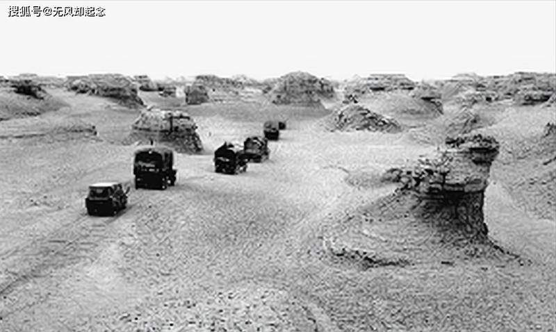 罗布泊的红粉去哪儿了？