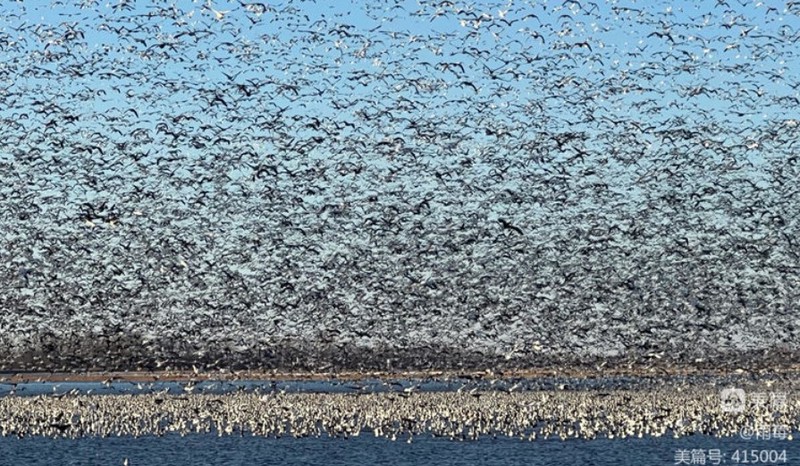 在那座雪山天坑里,我看见了死亡的盛大巡游! 在那座雪山天坑里,我看见了死亡的盛大巡游!